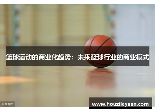篮球运动的商业化趋势：未来篮球行业的商业模式